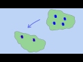 Speciation and Genetic Divergence Concepts