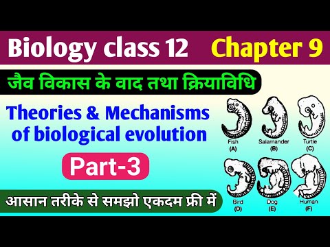 Biology class 12 chapter 9 | jaiv vikas ke praman | evidence of evolution class 12 | biology sk