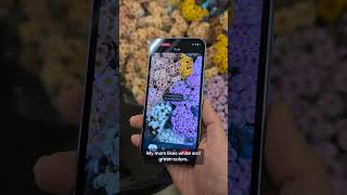 Watch me turn these beautiful blooms into a masterpiece with help from Gemini Live on #Pixel9 💐