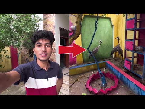 Aj achanak hmary mini zoo ma barish ho gyi 😱 |Pets vlog