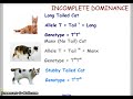 Genetics: Incomplete Dominance Concepts