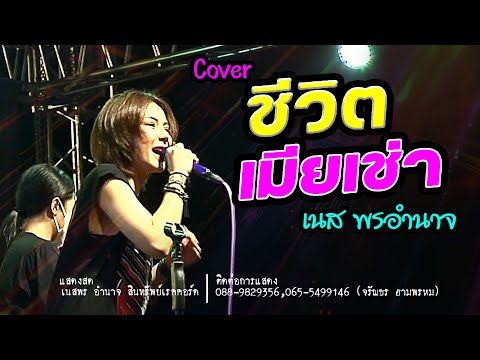 เนส พรอำนาจ : ชีวิตเมียเช่า 【COVER VERSION】