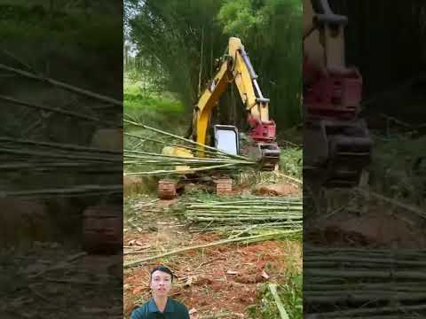 Máy xúc gắn kẹp cắt tre chuyên dụng #foryou #viral #trending
