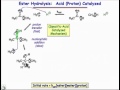 Proton-Catalyzed Reaction Mechanisms
