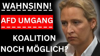 🚨WAHNSINN! Bundestags-Koalitionen unter der Lupe: Tradition, FDP und der SCHWIERIGE AfD-Umgang🚨