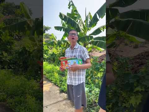 Xin lỗi anh chỉ là thằng bán bánh giò #shorts