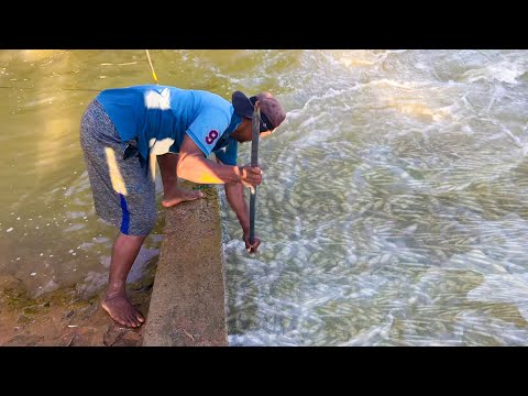 Real Life 100% Net Fishing In River At The Countryside (Part 13)