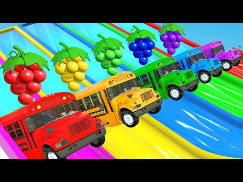 Baby Shark, Head Shoulders Knees & Toes - Coloring The School Bus, Excavator | Nursery Rhymes