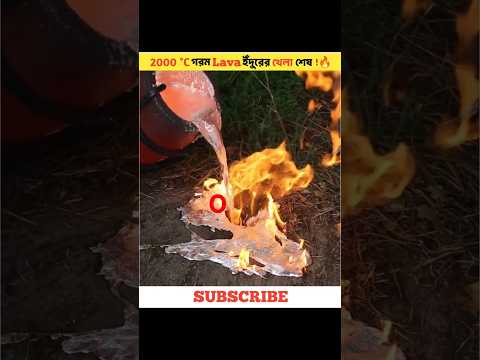 ইঁদুরের গর্তে অ্যালুমিনিয়াম ঢালার পর শেষে যা দেখা গেল  ! সবাই অবাক #experiment #aluminium #animal