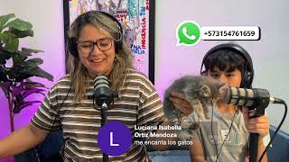 Ayudanos a ponerle nombre a nuestros gatitos!