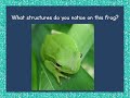 Animal Adaptations and Their Functions