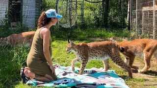 ПИКНИК С РЫСЯМИ / Райская жизнь свиньи