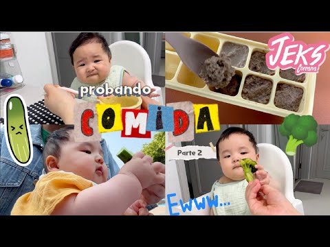 Primeros 3 días alimentando a mi bebé con más ingredientes | Me dio trauma el brócoli 🤯 #vlog