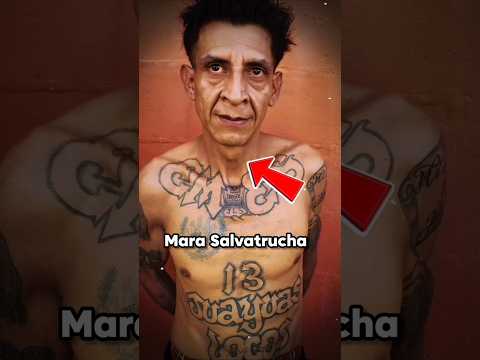 PANDILLERO le QUITÓ la EXISTENCIA a su PROGENITORA