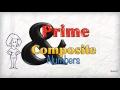 Exploring Prime and Composite Numbers