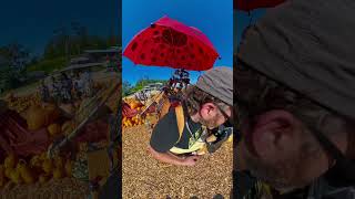 How I pick pumpkins @pondhillfarm-harborsprings359 #edjomb #livemusic #fyp #farmerfootdrums #music