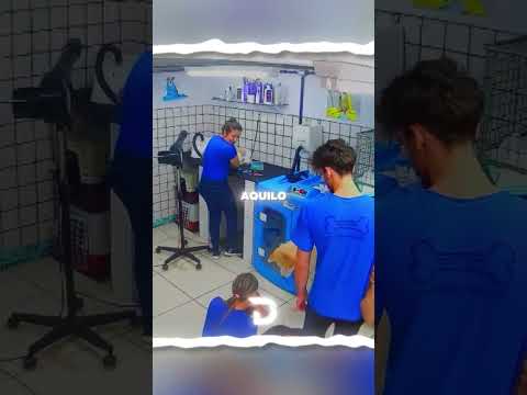 Ele nunca quis ter feito isso 😥