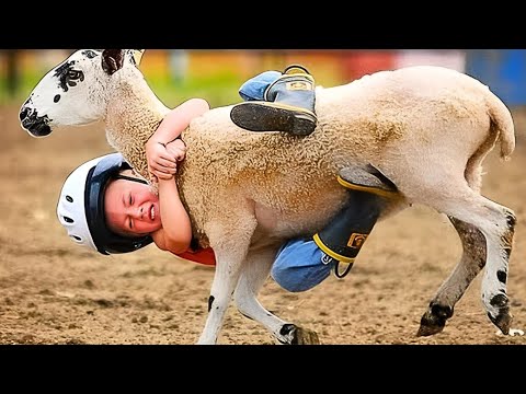 Try Not To Laugh Challenge - Funny Fails Compilation