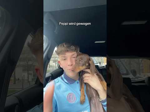 Mein HUND ist zu Breit?