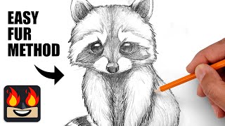 How To Draw a Raccoon | Sketch Workshop