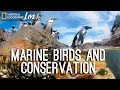 Marine Conservation and Challenges