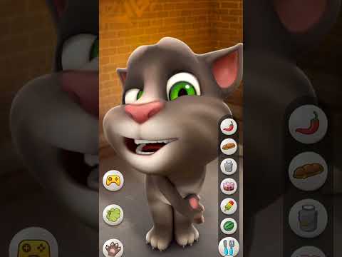 my talking tom funny gamplay