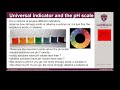 Understanding Indicators and pH Levels