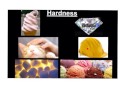 Exploring the Physical Properties of Matter