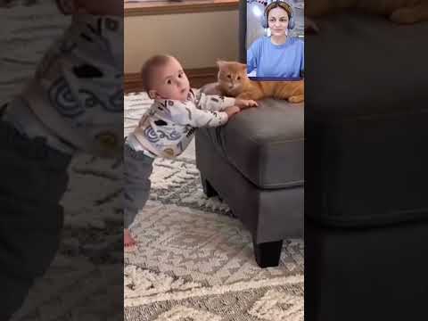 Cats & Babies Love Story - Reaction #funnyvideo2024 #funnycatvideos #funnybabyvideo #funnybabyvideos