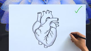 How to Draw a Human Heart | Easy Anatomy Diagram with Labels |Human Heart Drawing