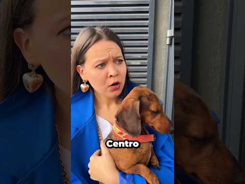 Cuando Sonu decidió llevar a Monu de compras. #shortvideo