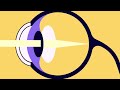 Eye Anatomy and Function Assessment