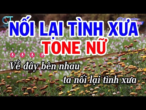 Karaoke Nối Lại Tình Xưa Tone Nữ ( Bm ) Nhạc Sống Hay || Karaoke Đồng Sen