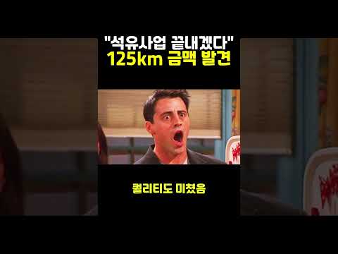"석유사업 끝내겠다" 사우디 125km 금맥 발견
