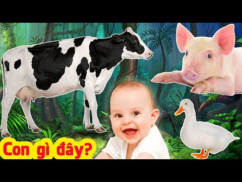 Con gì đây + Bé Học Các Con Vật Nuôi Trong Nhà + Tiếng Kêu Con Chó, Con Bò, Con Mèo