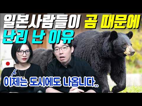 일본사람들이 곰 때문에 난리 난 이유