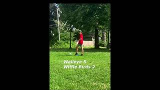 Results - NWBL Summer Regular Season - Southwest Walleye Vs West Side Wiffle Birds  #baseballszn