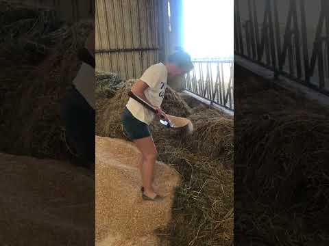 Gamine de la ville😂