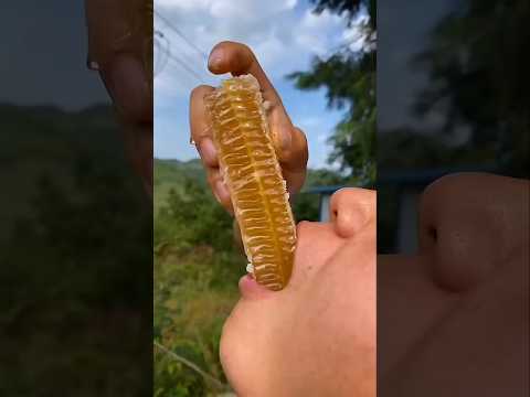 Don't Eat This Honey 🍯