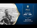Brazil's 1958 World Cup Journey