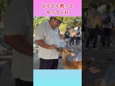 【鹿】ヘズマリュウ、ある奈良の鹿への〇〇をよびかける
