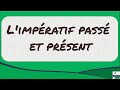 Understanding the Imperative Mood in French