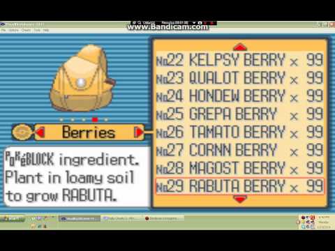 pokemon ruby cheat codes