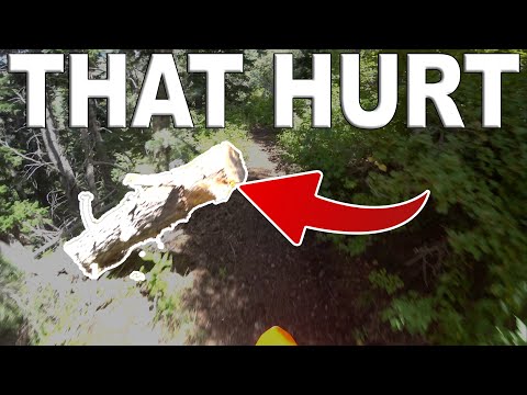 KTM 300 XC-W - Hitting More Trees Than USUAL