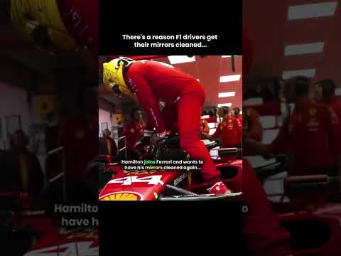 Mirrors ๐...#formula1 #motorsport #f1 #lewis #worldchampion #automobile #cutereaction #padock