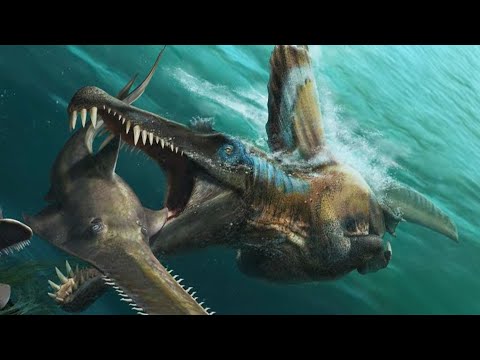 Was Spinosaurus A Swimming Dinosaur?