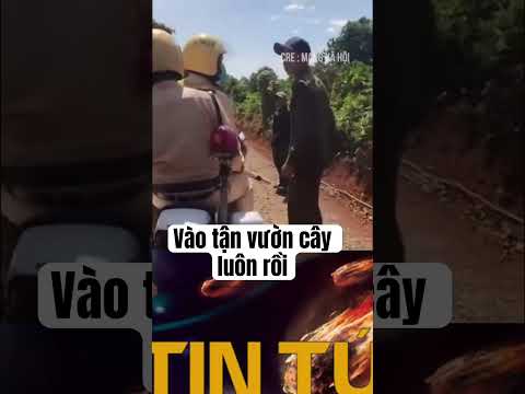 Cùng nhau phân tích tình huống giao thông #viralshort #viralreels #video #viral #viralvideo
