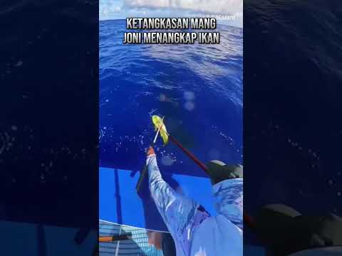 ♻️😂🔥detik-detik mang joni beraksi di tengah lautan #shortsfeed #fishing #viralvideo #mancing
