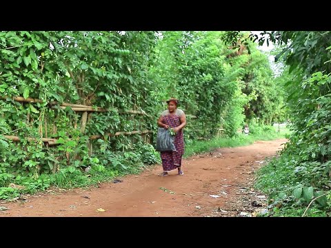 Veuillez Laisser Ce Que Vous Regardez Et Voir Ce Film Familial Incroyable 2 - Film Nigerian En FR
