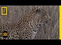 Wildlife Behavior and Tracking Techniques